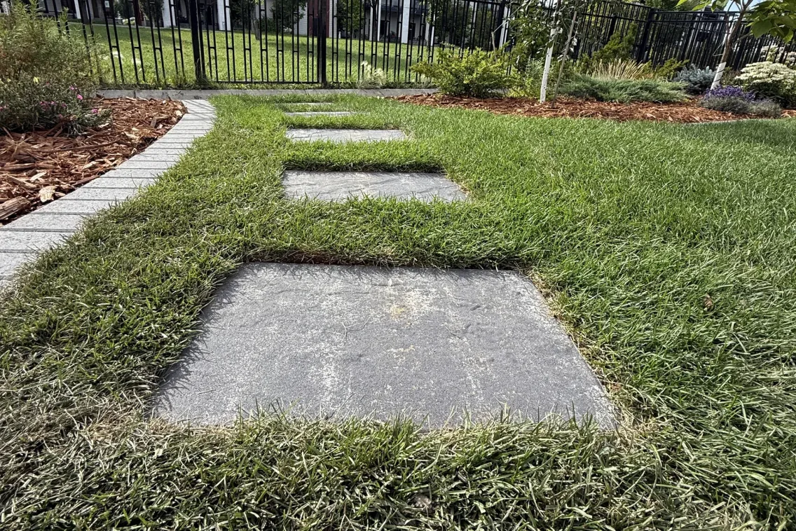 Well-maintained Calgary lawn and paver border from aerial view