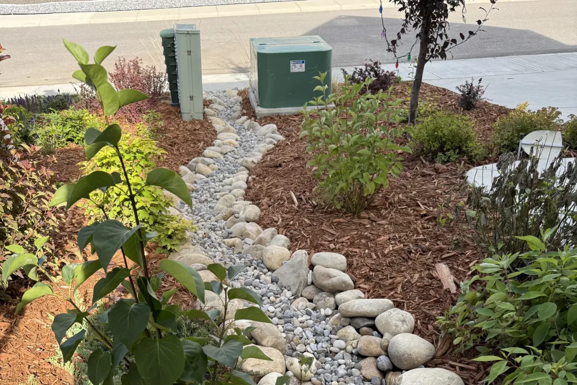 River rock dry creek bed and softscape planting in Calgary front yard
