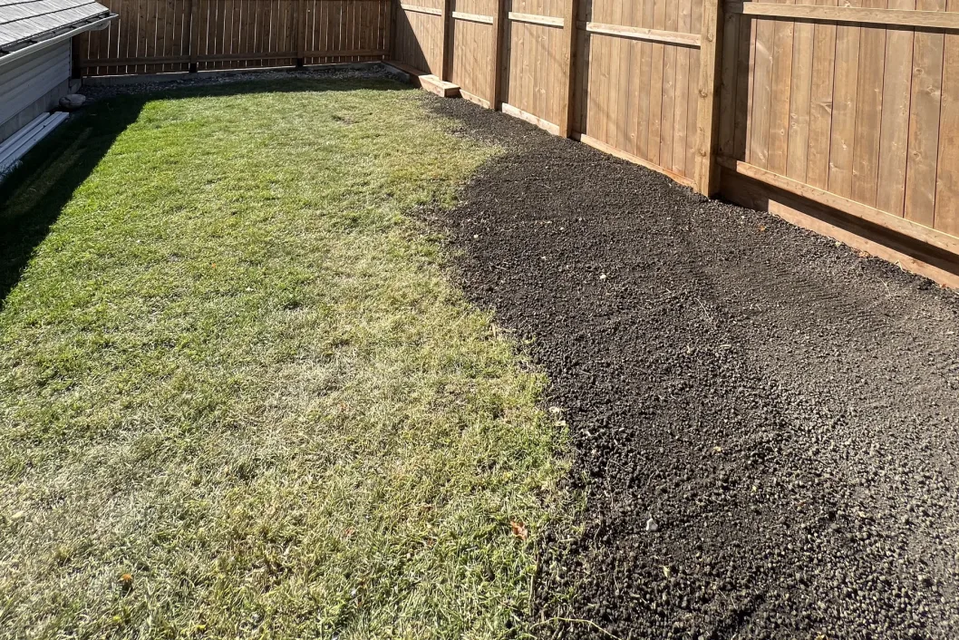 Softscapes & Planting